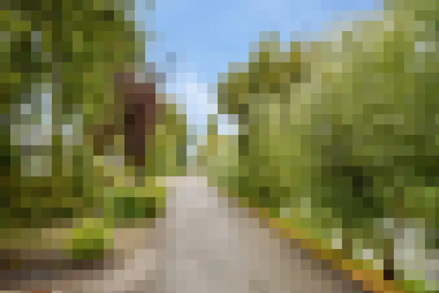 Berg en Daal 7 Voorhout thumbnail 40
