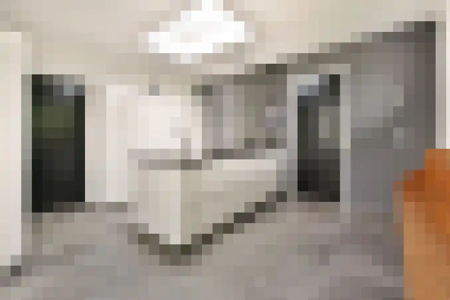 Berg en Daal 7 Voorhout thumbnail 9