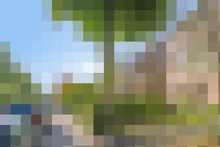 Berg en Dalseweg 110 Nijmegen thumbnail 6
