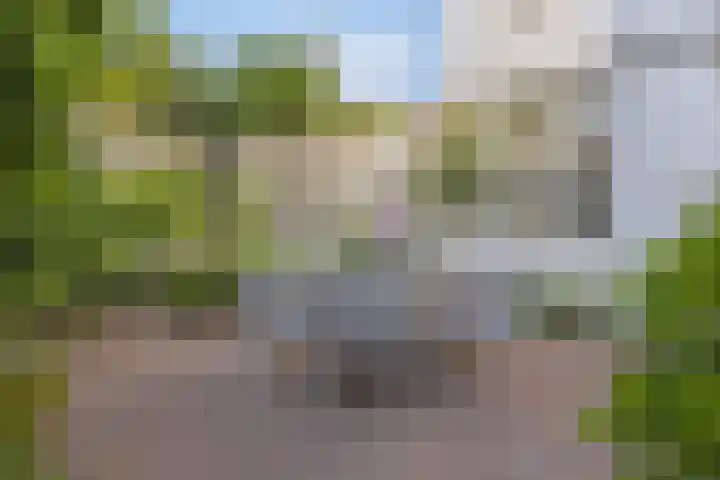 Berg en Dalseweg 110 Nijmegen thumbnail 76