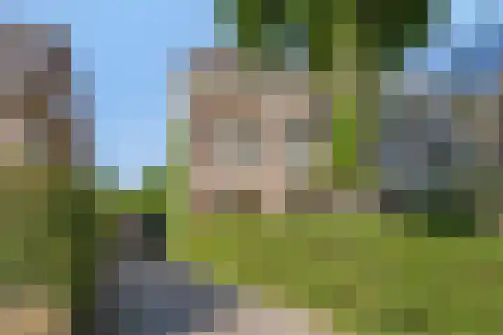 Berg en Dalseweg 110 Nijmegen thumbnail 8