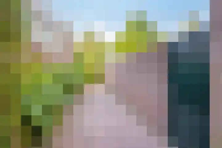 Berg en Dalseweg 110 Nijmegen thumbnail 80