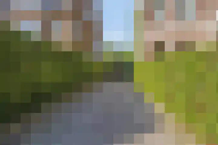 Berg en Dalseweg 110 Nijmegen thumbnail 9