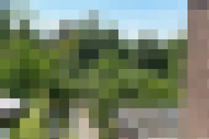 Berg en Dalseweg 116 Nijmegen thumbnail 23