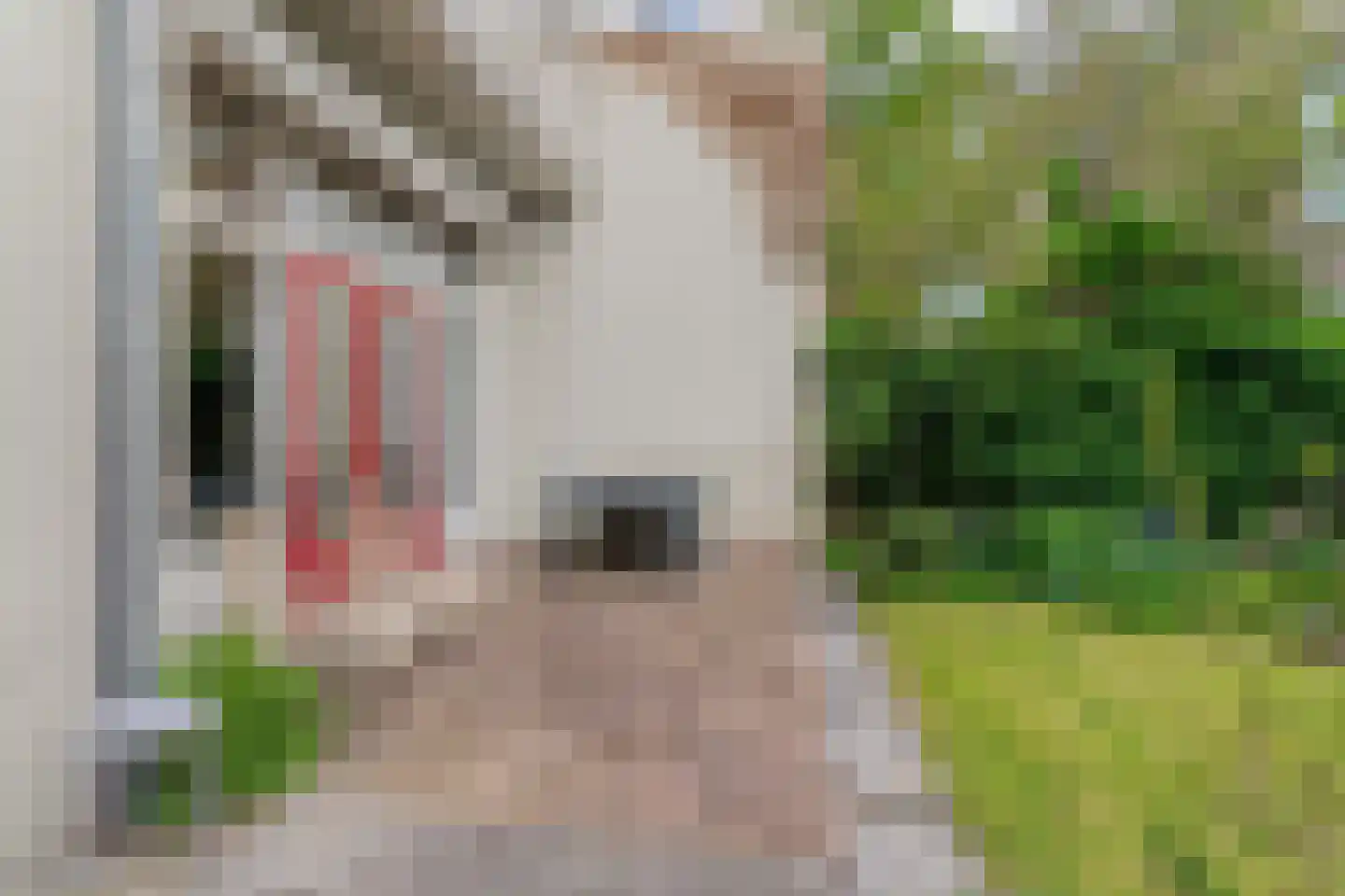 Berg en Dalseweg 126 Nijmegen thumbnail 37