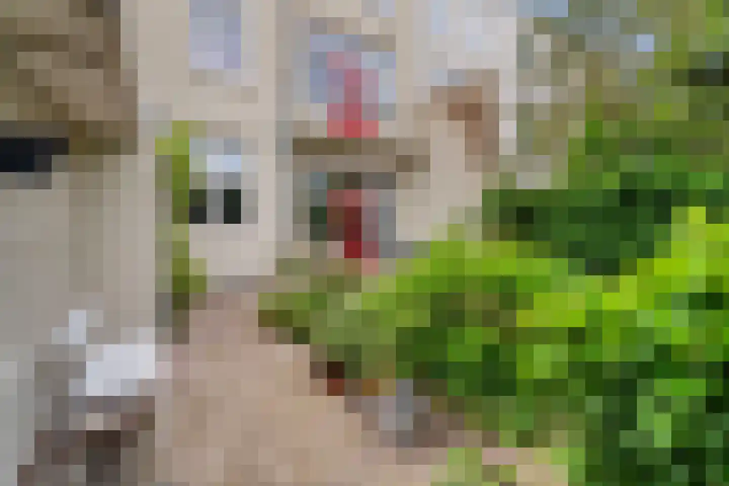 Berg en Dalseweg 126 Nijmegen thumbnail 39
