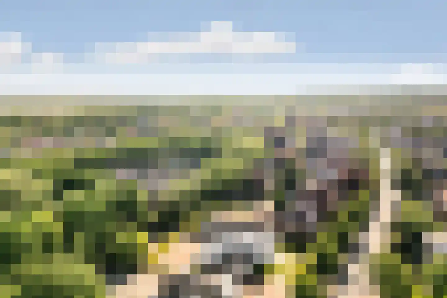 Berg en Dalseweg 126 Nijmegen thumbnail 42