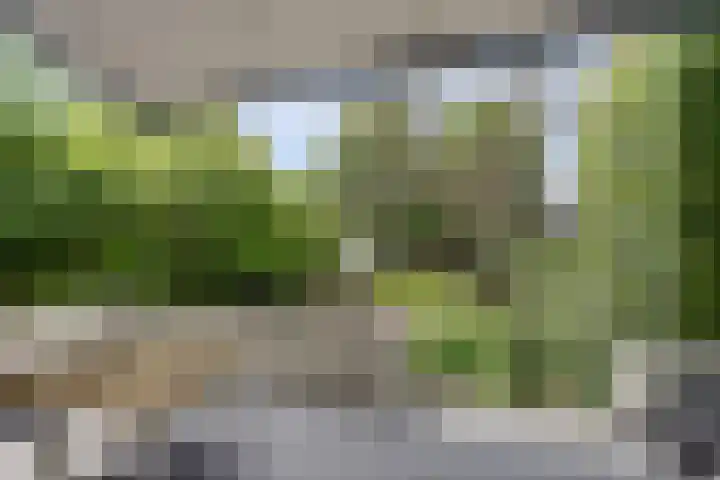 Berg en Dalseweg 184 Nijmegen thumbnail 48