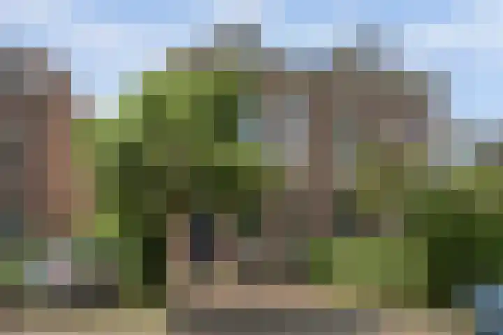 Berg en Dalseweg 184 Nijmegen thumbnail 5