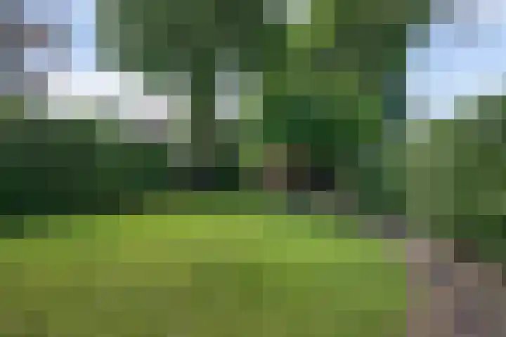 Berg en Dalseweg 184 Nijmegen thumbnail 53