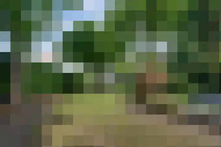 Berg en Dalseweg 184 Nijmegen thumbnail 57