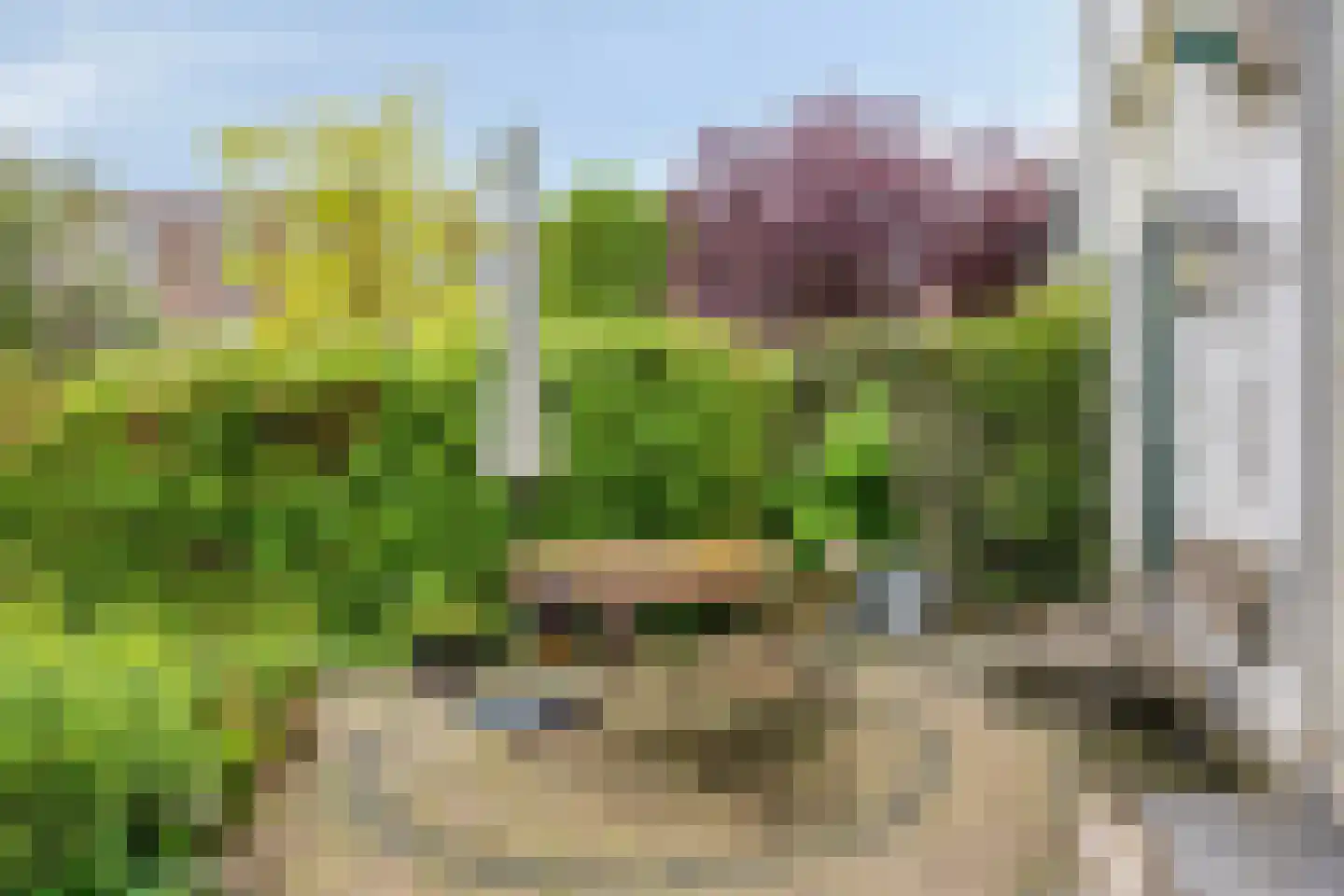 Berg en Dalseweg 218 Nijmegen thumbnail 4