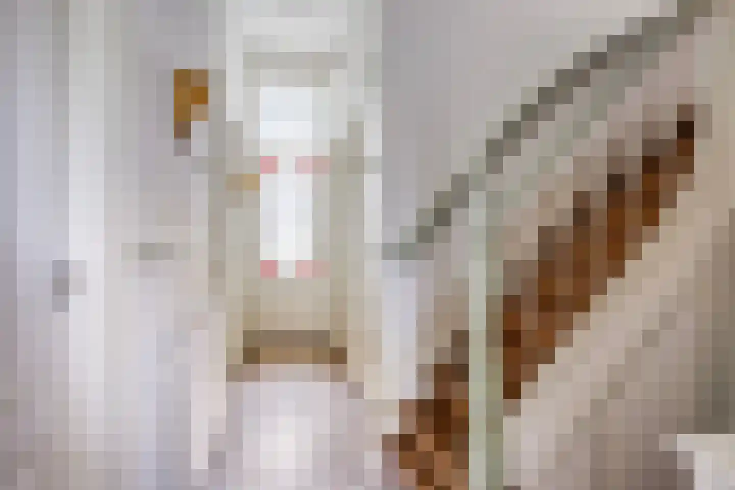 Berg en Dalseweg 218 Nijmegen thumbnail 7