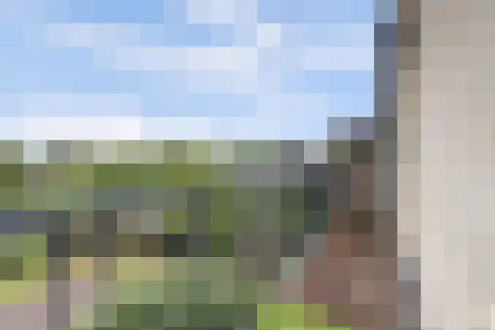 Berg en Dalseweg 256 Nijmegen thumbnail 30