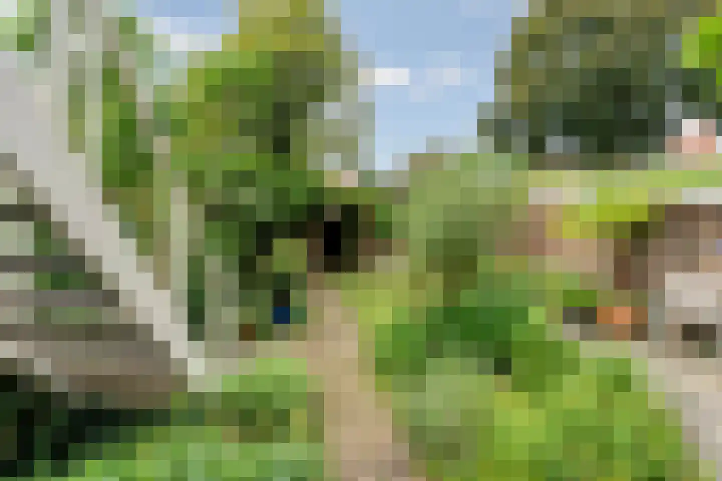 Berg en Dalseweg 286 Nijmegen thumbnail 44
