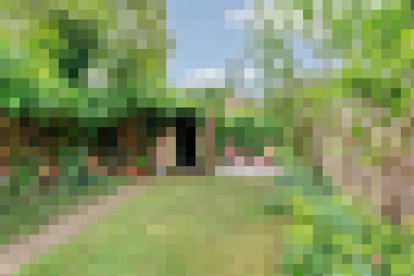 Berg en Dalseweg 286 Nijmegen thumbnail 45