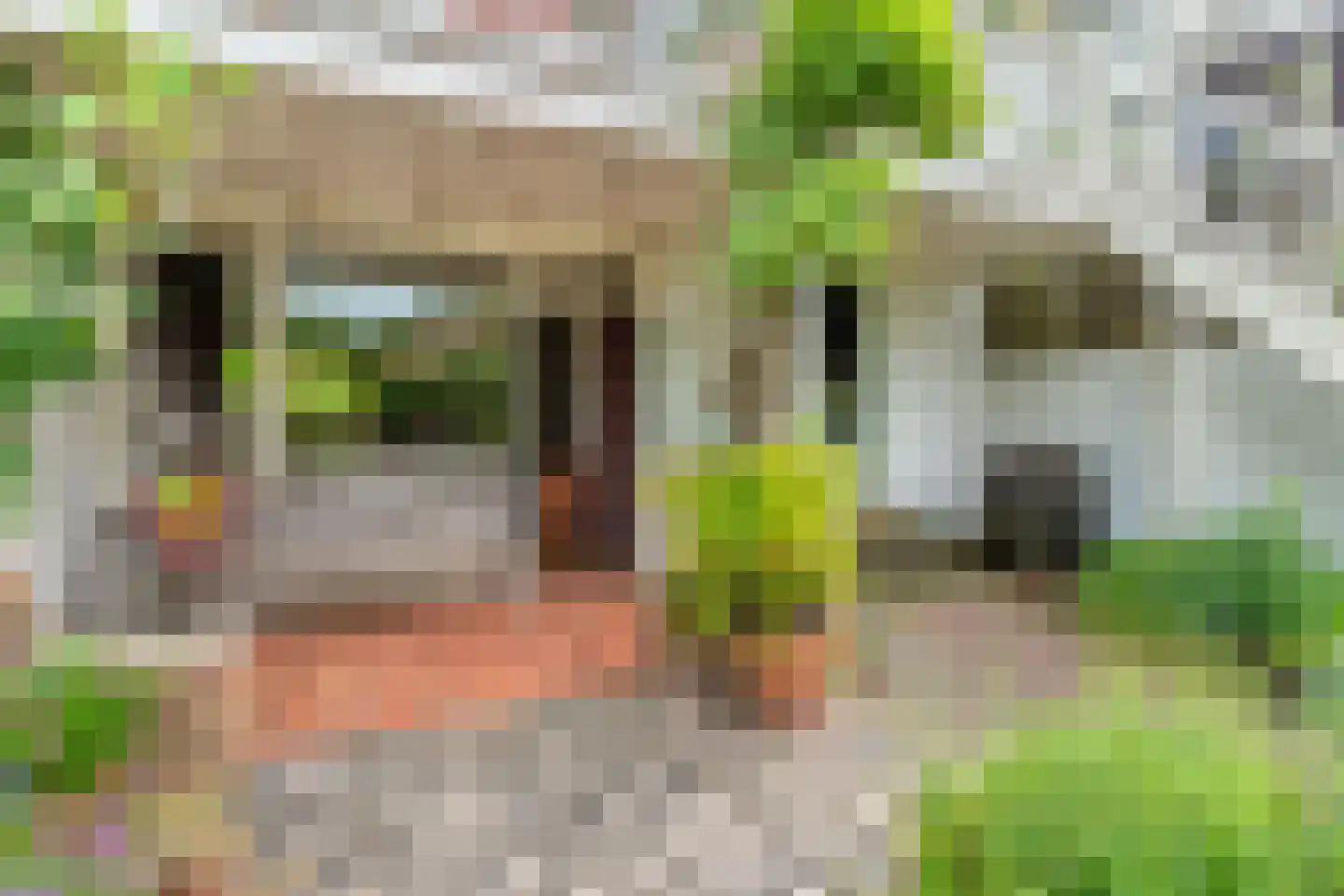 Berg en Dalseweg 286 Nijmegen thumbnail 51