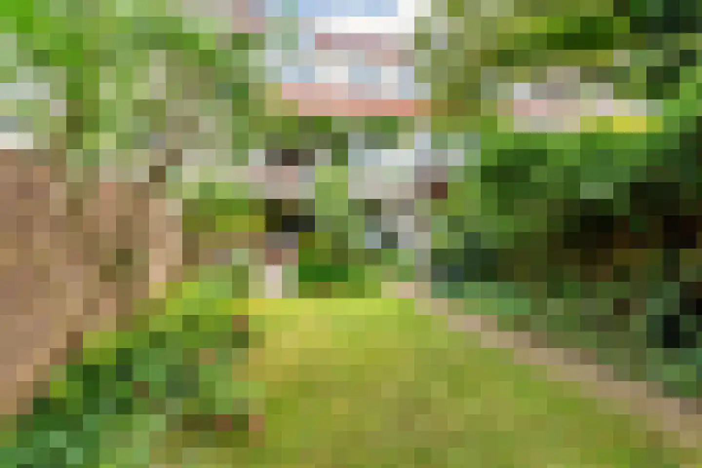 Berg en Dalseweg 286 Nijmegen thumbnail 7