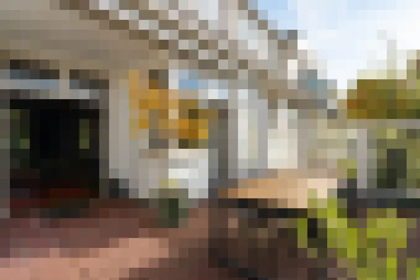 Berg en Dalseweg 290 Nijmegen thumbnail 15