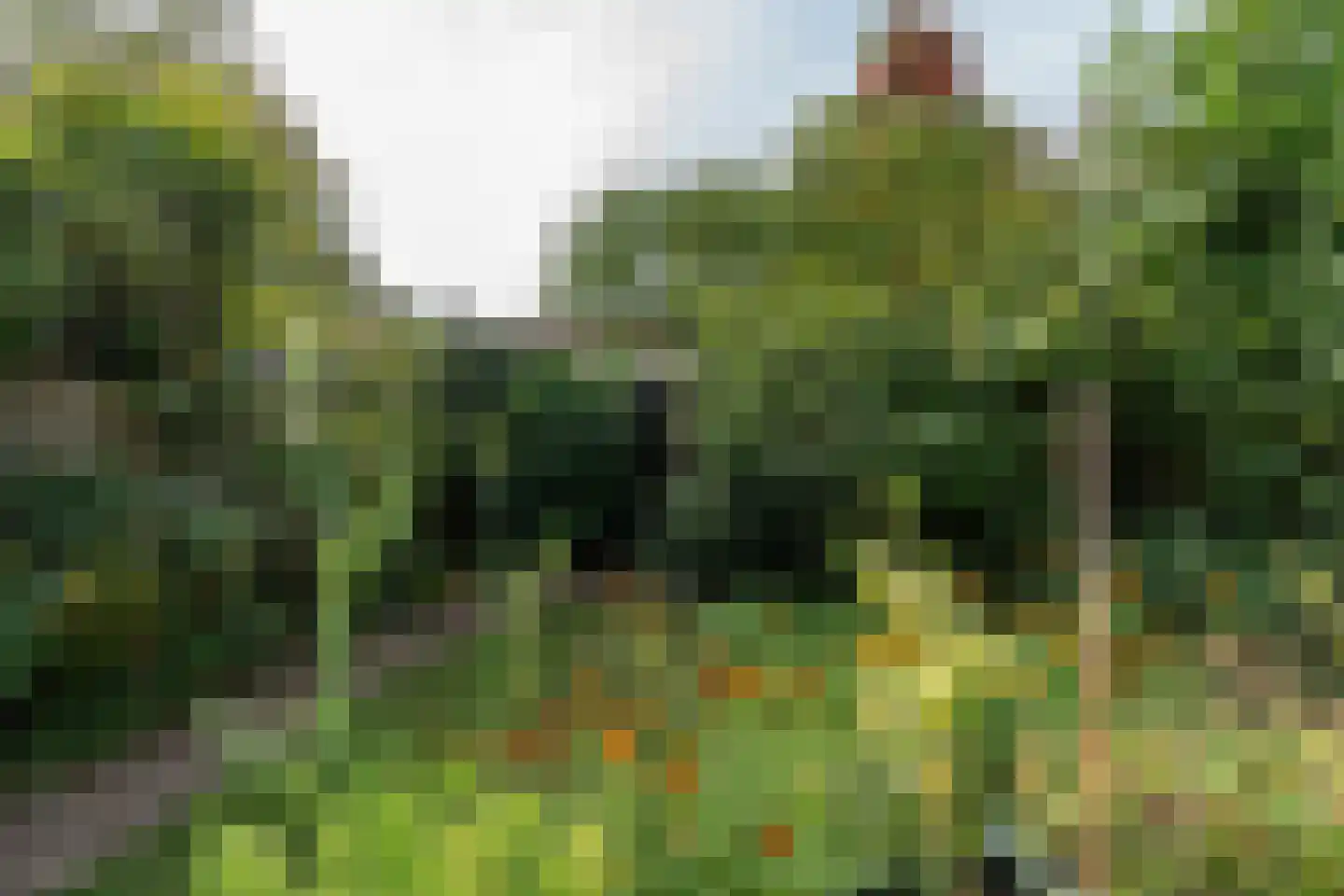 Berg en Dalseweg 290 Nijmegen thumbnail 42