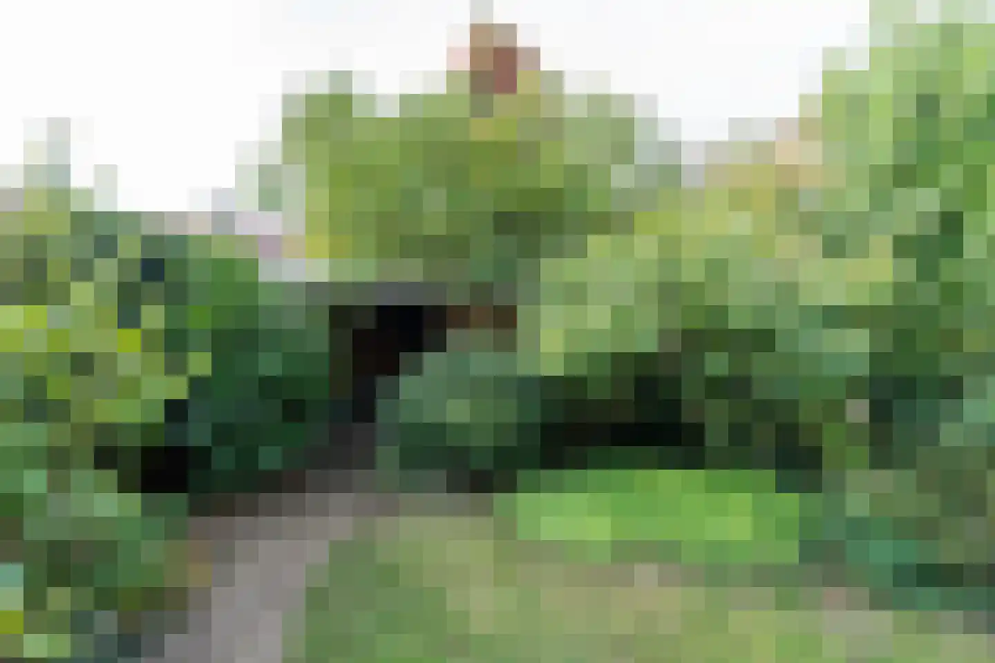 Berg en Dalseweg 290 Nijmegen thumbnail 43