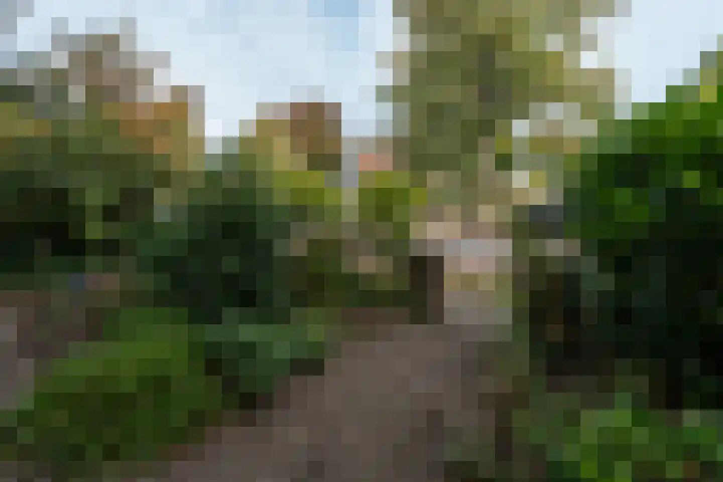 Berg en Dalseweg 290 Nijmegen thumbnail 45