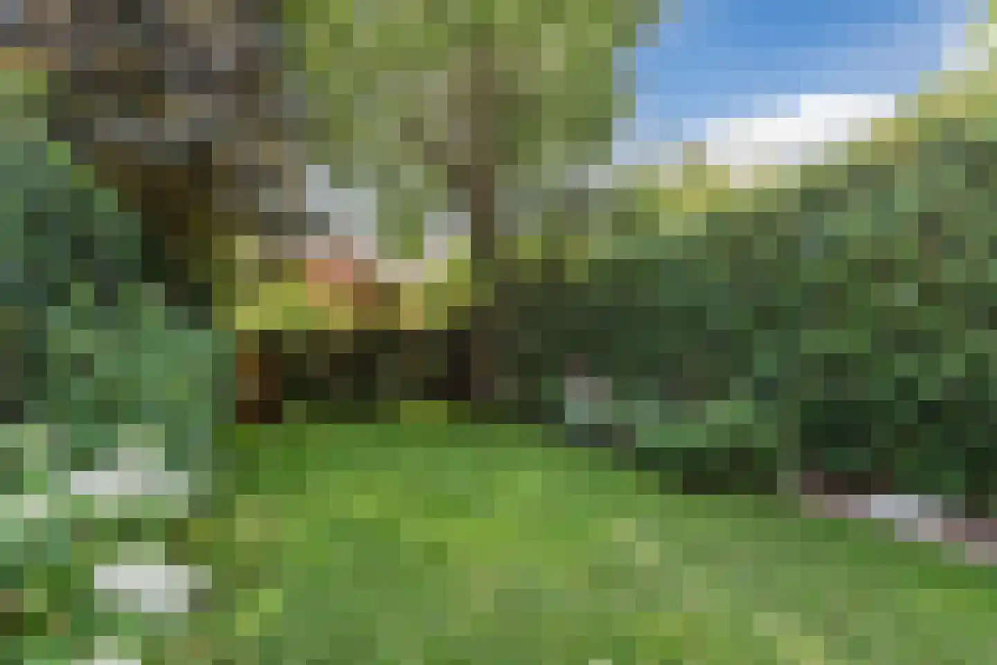 Berg en Dalseweg 312 Nijmegen thumbnail 5