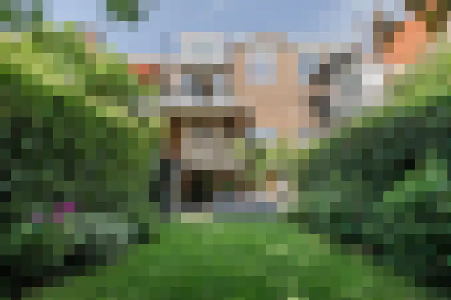 Berg en Dalseweg 312 Nijmegen thumbnail 71