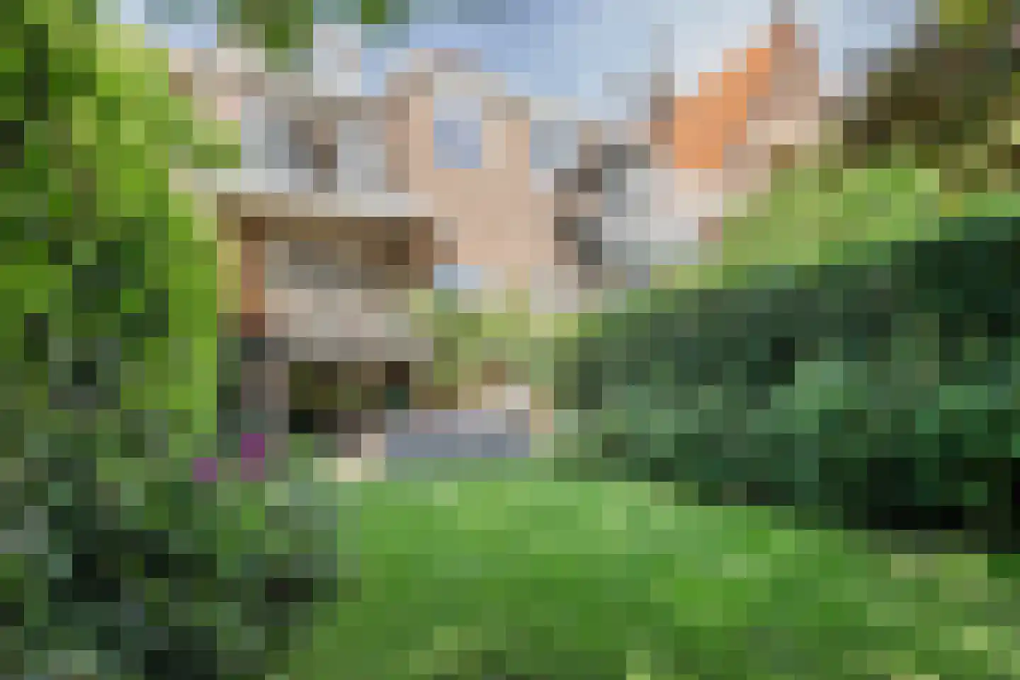 Berg en Dalseweg 312 Nijmegen thumbnail 72