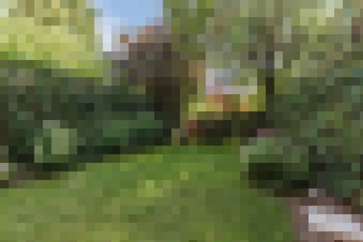 Berg en Dalseweg 312 Nijmegen thumbnail 73