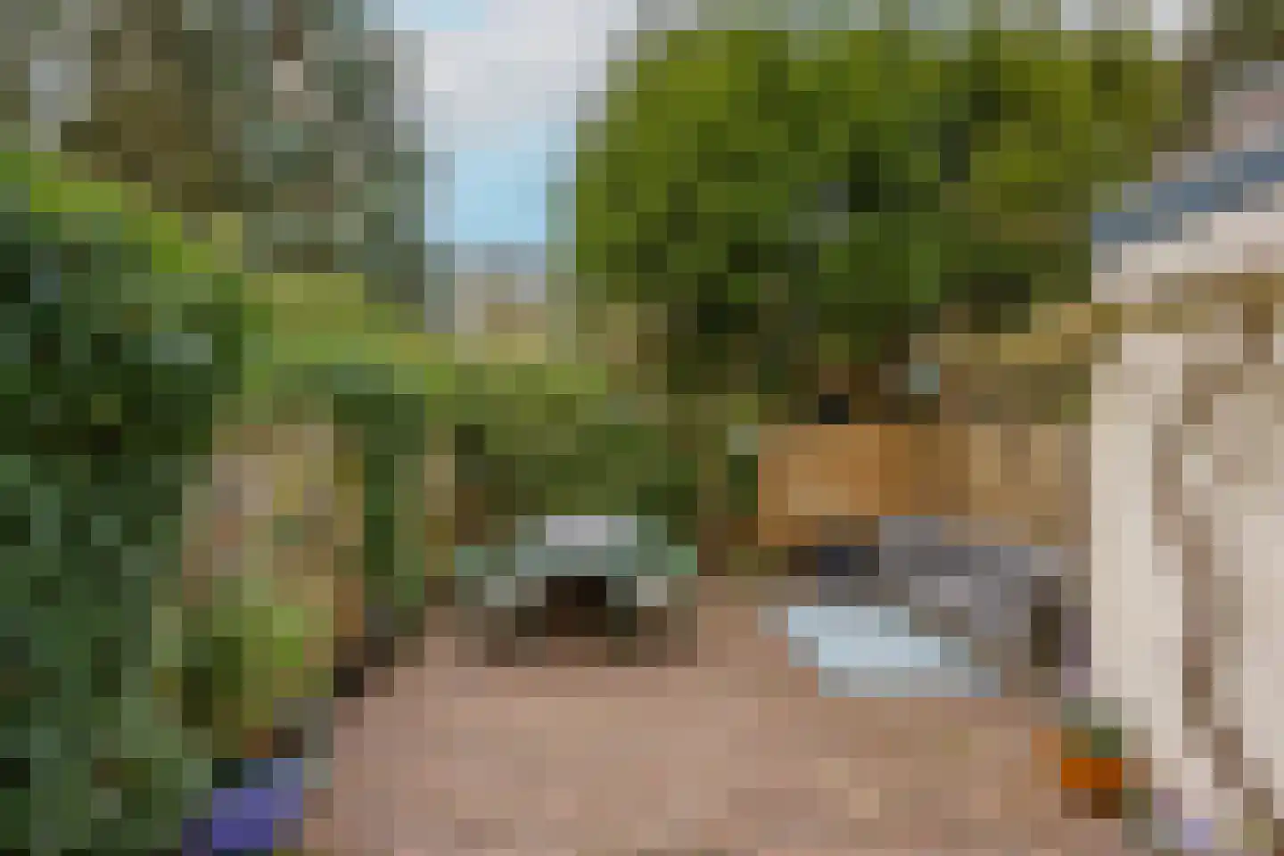 Berg en Dalseweg 330 A Nijmegen thumbnail 34