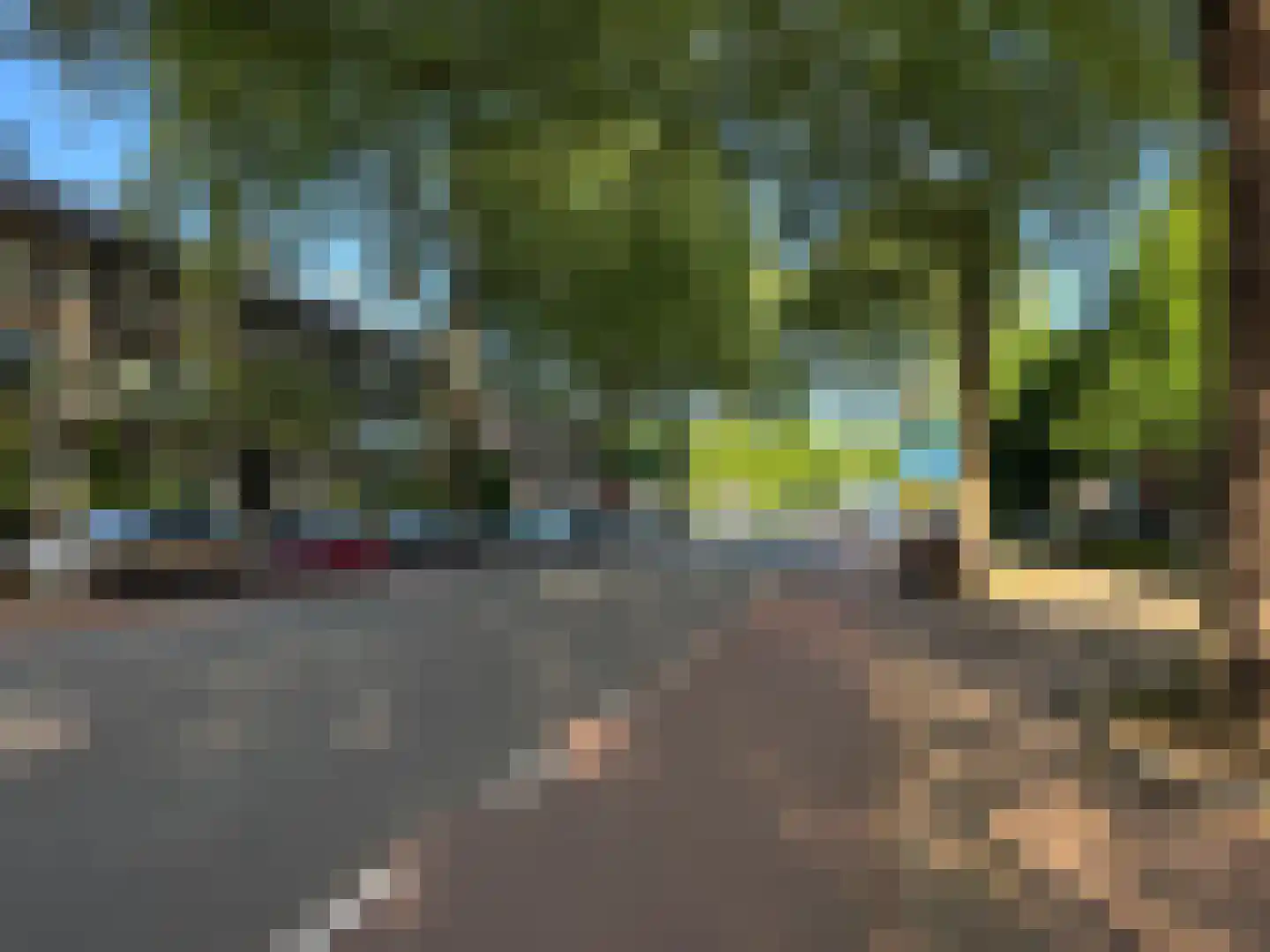 Berg en Dalseweg 5 Nijmegen thumbnail 4