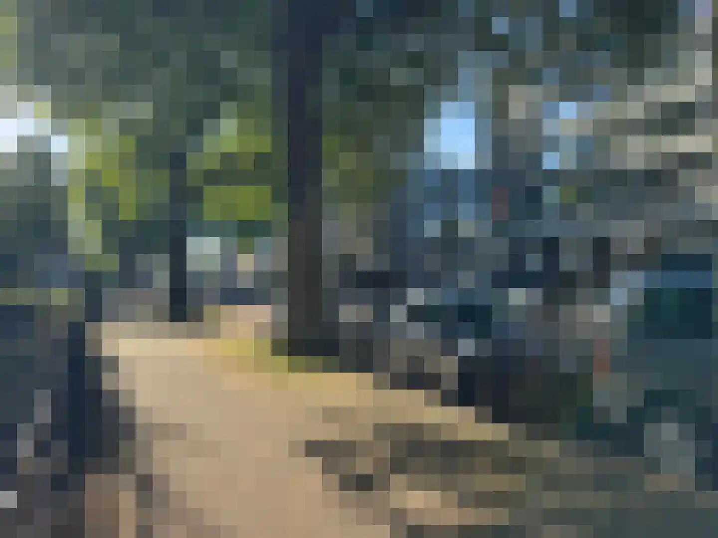 Berg en Dalseweg 5 Nijmegen thumbnail 5