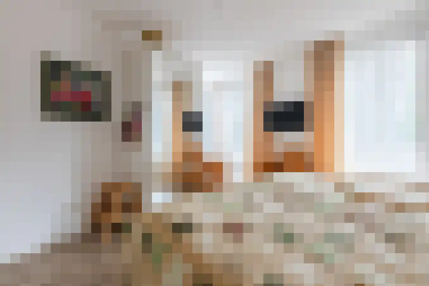 Berg en Dalseweg 65 Nijmegen thumbnail 31