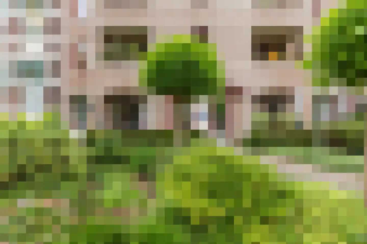 Berg en Dalseweg 65 Nijmegen thumbnail 44