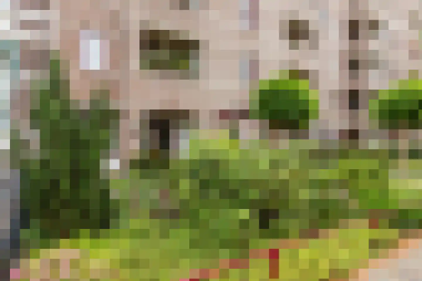 Berg en Dalseweg 65 Nijmegen thumbnail 45