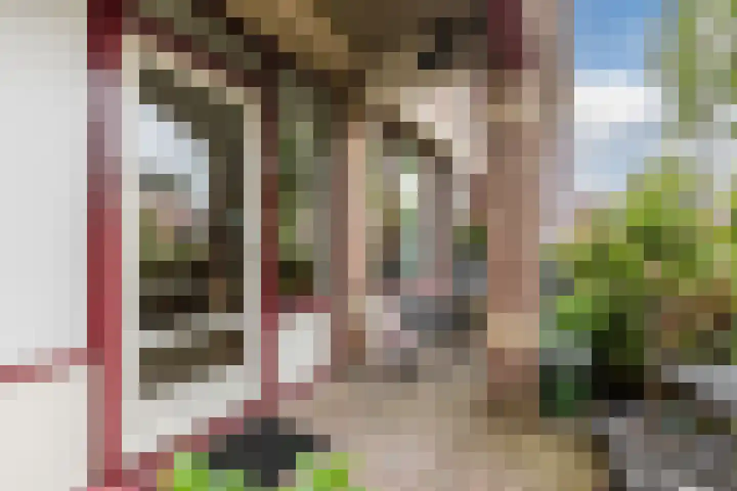 Berg en Dalseweg 65 Nijmegen thumbnail 6