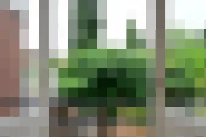 Berg en Dalseweg 70 Nijmegen thumbnail 11