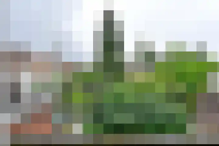 Berg en Dalseweg 70 Nijmegen thumbnail 12