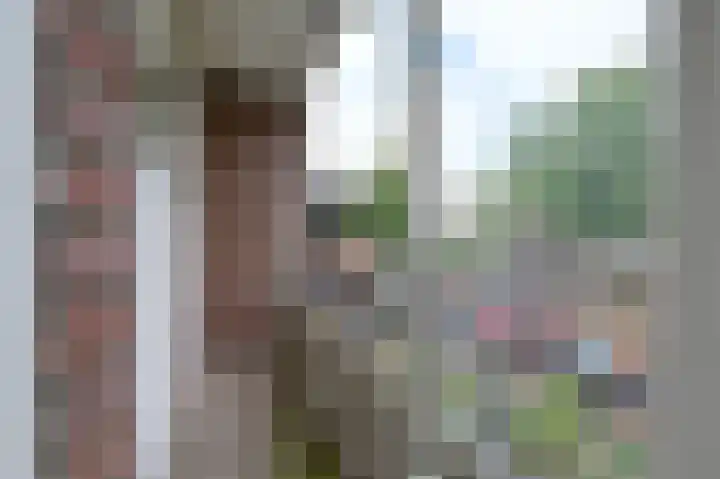 Berg en Dalseweg 70 Nijmegen thumbnail 8