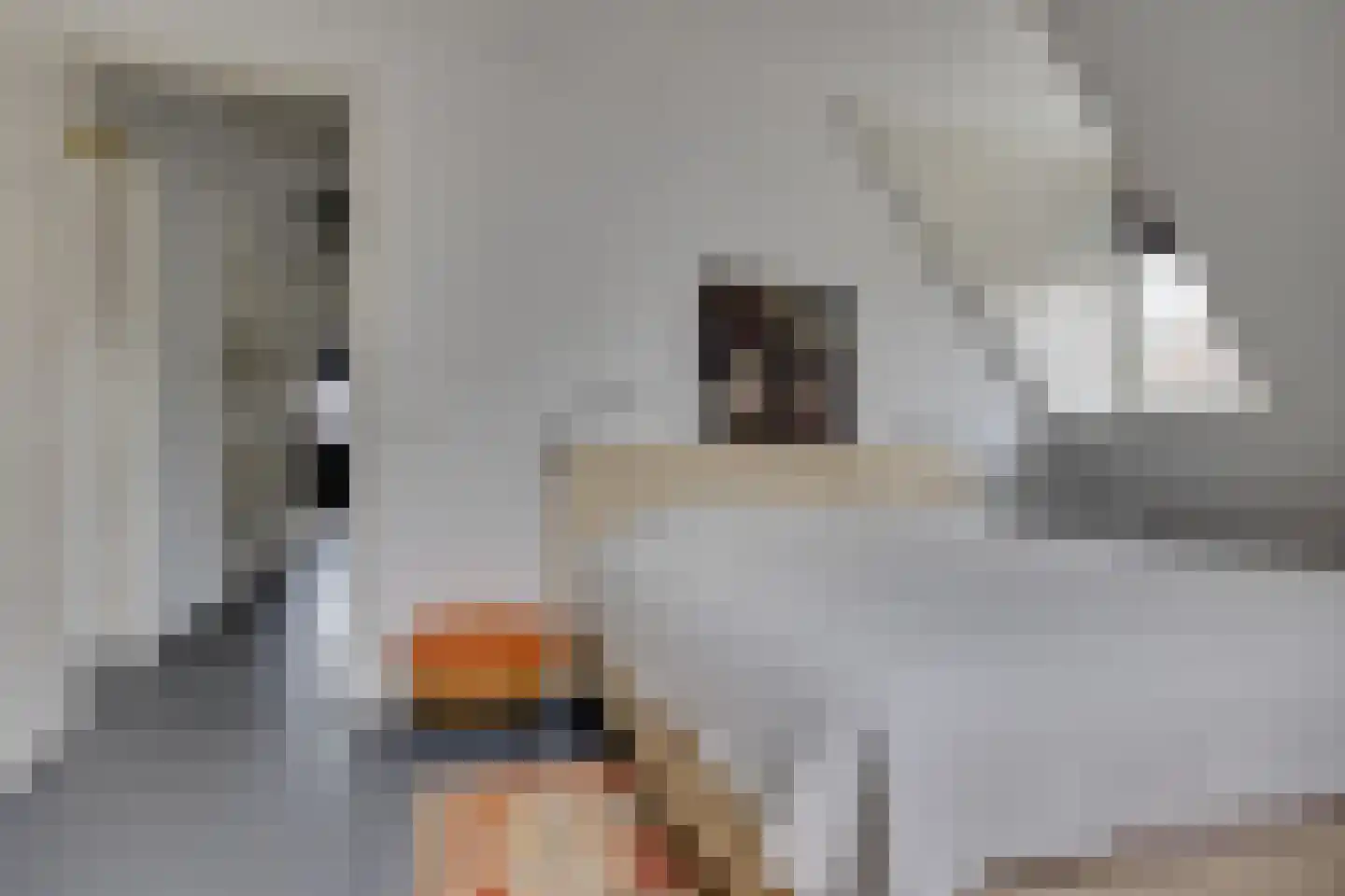 Berg Enk 2 Leusden thumbnail 34