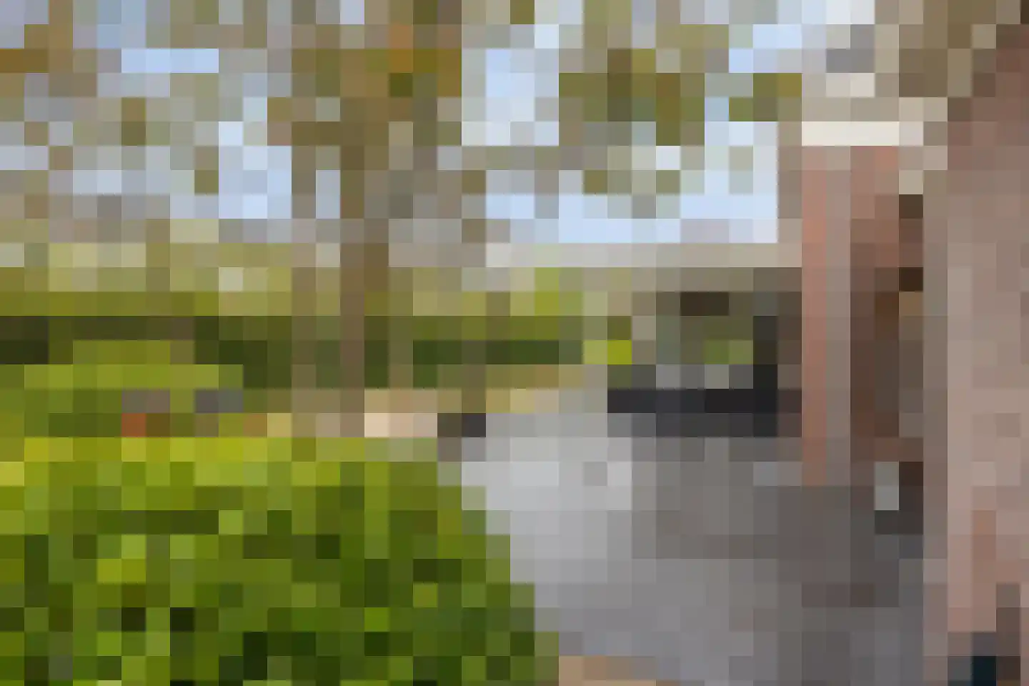 Berg Enk 2 Leusden thumbnail 38