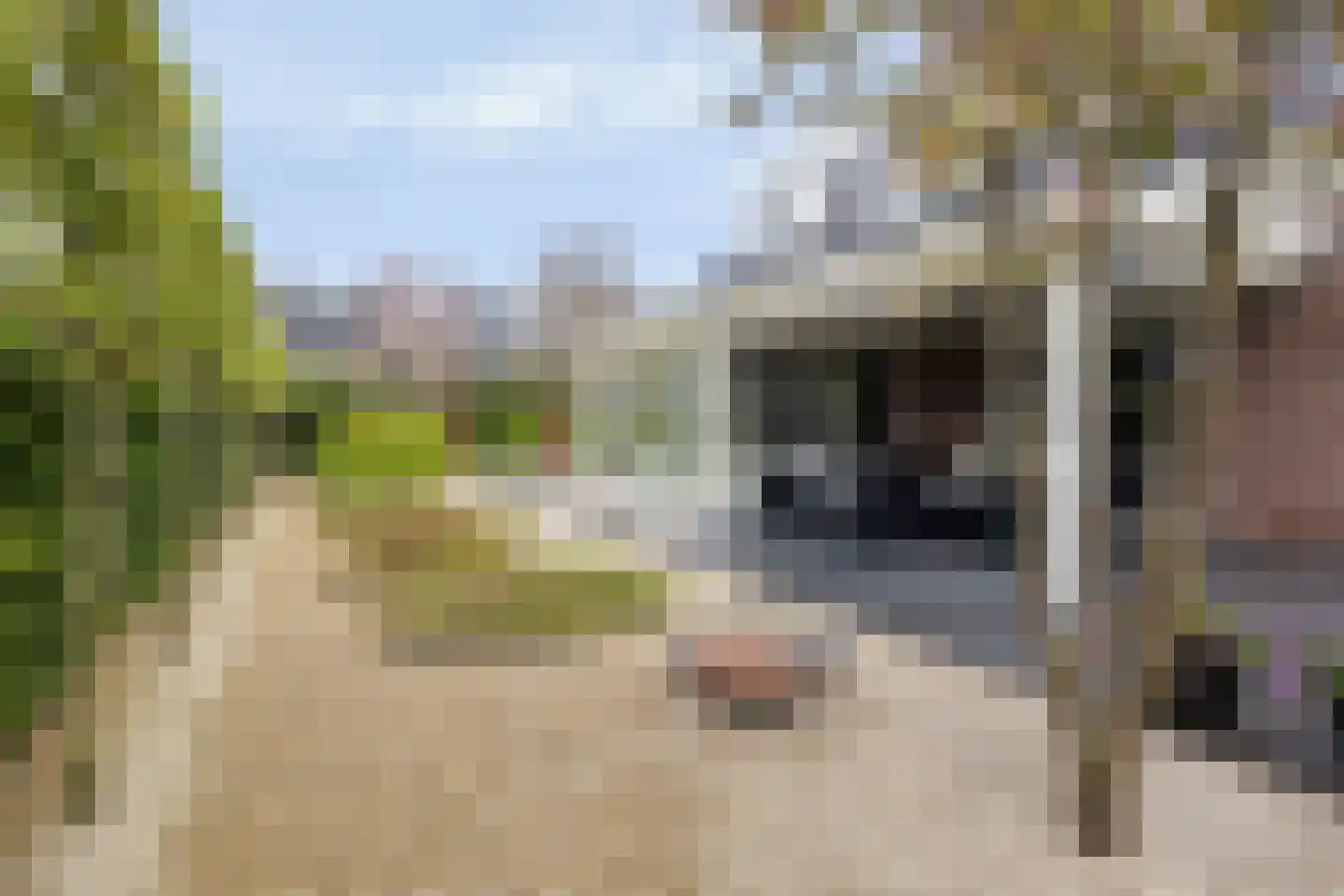 Berg Enk 2 Leusden thumbnail 42