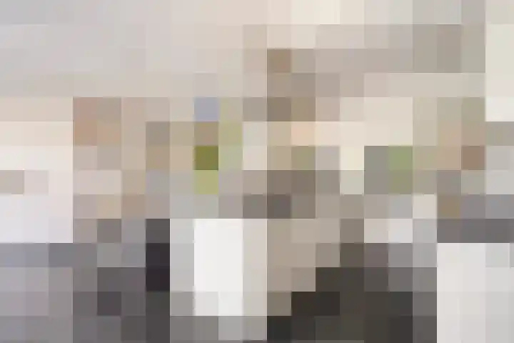 Berg Enk 5 Leusden thumbnail 12