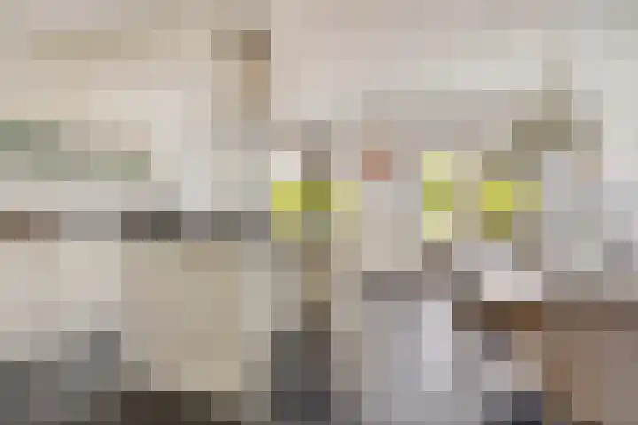 Berg Enk 5 Leusden thumbnail 13