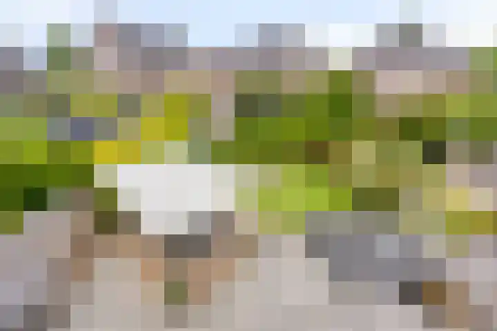 Berg Enk 5 Leusden thumbnail 21