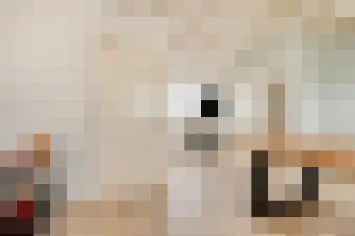 Berg Enk 5 Leusden thumbnail 27
