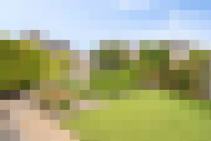 Berg Enk 5 Leusden thumbnail 31