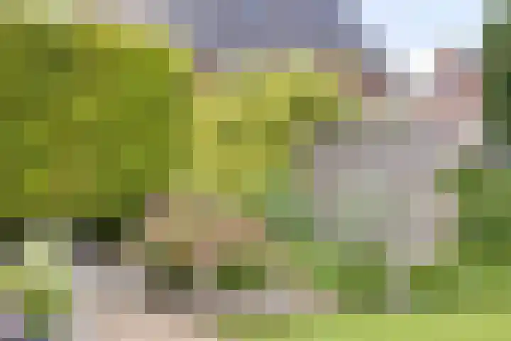 Berg Enk 5 Leusden thumbnail 32