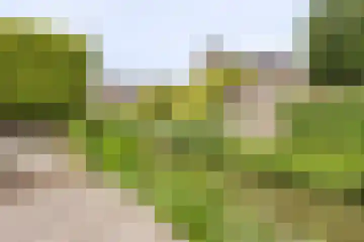 Berg Enk 5 Leusden thumbnail 34